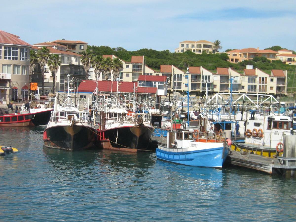 I-Lollo Bed & Breakfast At The River Mouth St Francis Bay Eksteriør billede